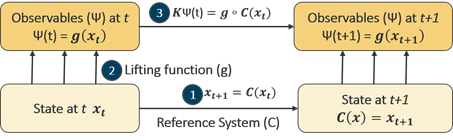 Koopman Diagram